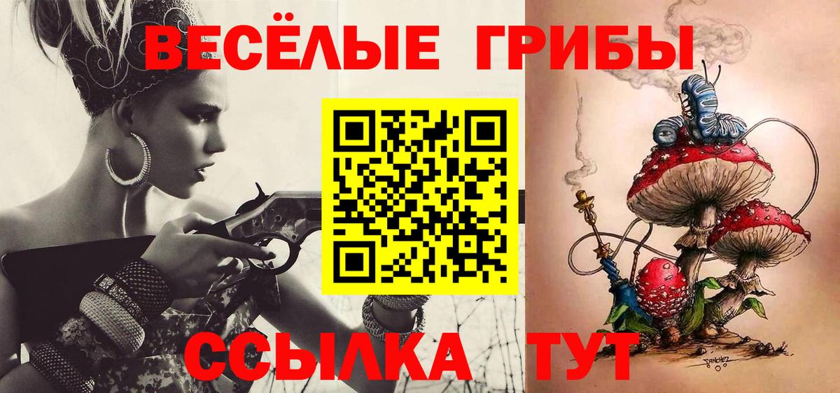 Ртищево  Псилоцибиновые грибы Magic Shrooms  Вход с VPN 