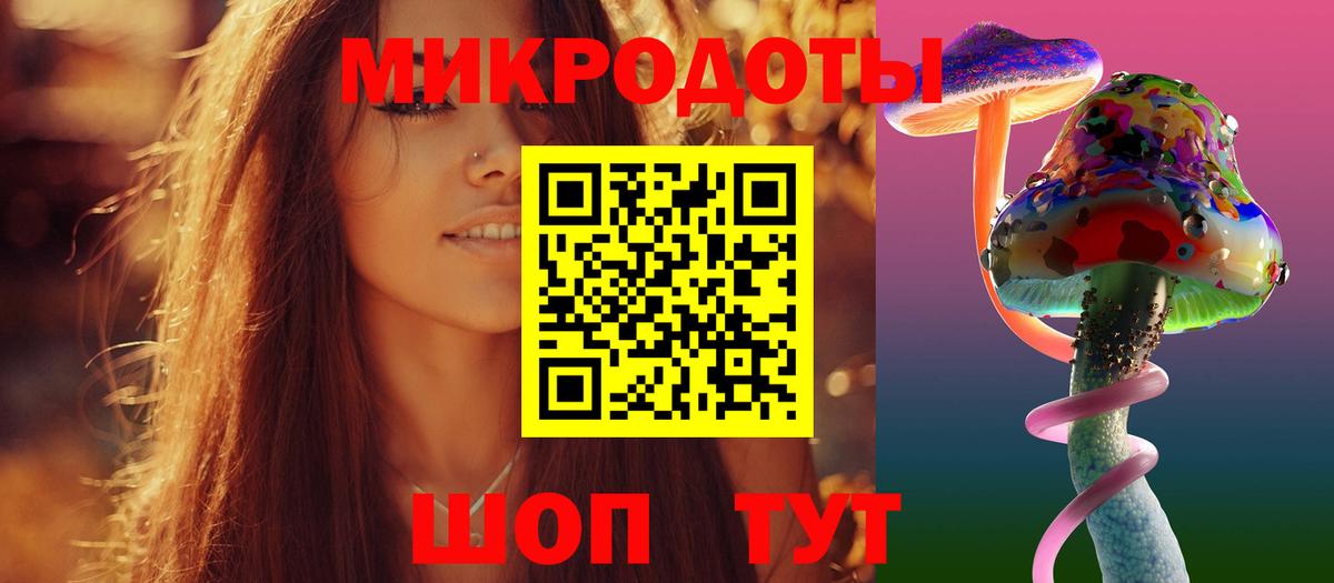 Галлюциногенные грибы Psilocybine cubensis Ртищево